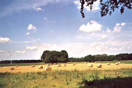 Foto aus der Fotogruppe 