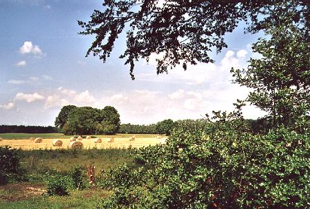 Foto aus der Fotogruppe 